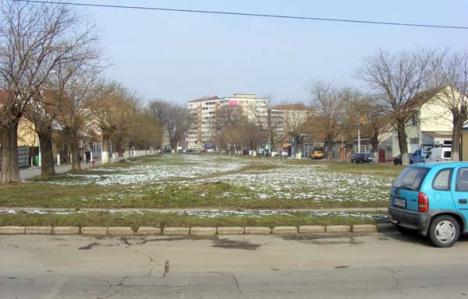 Verde în plus: Anul acesta, Oradea va avea în plus încă 2,5 hectare de parcuri 